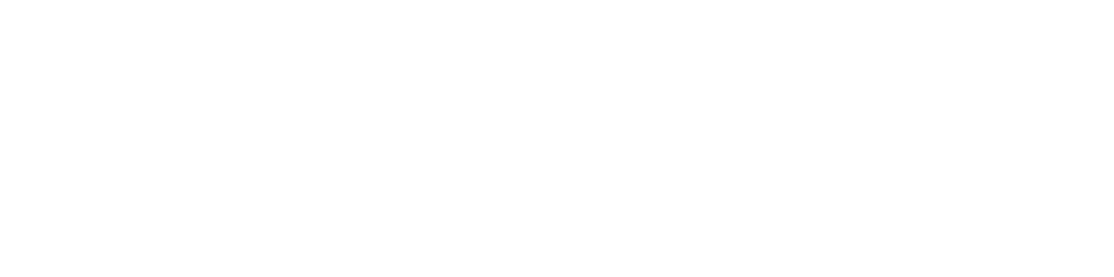 Praxisboost Logo_weiß